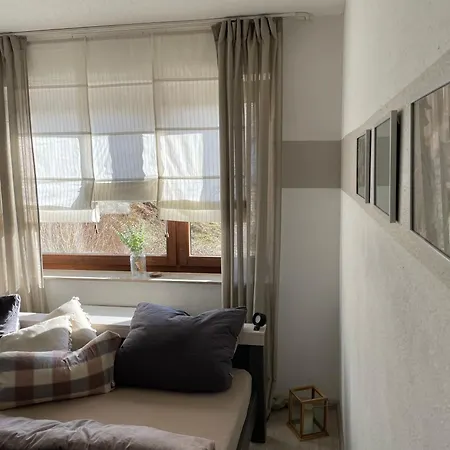 Fewo Dorfblick Mit 2 Sz, Wlan, Balkon & Ski- Oder Ebike Keller Winterberg Eksteriør billede